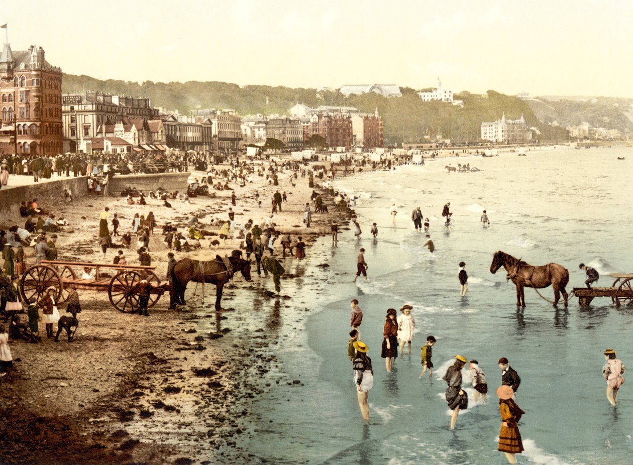 La playa, Douglas de English School