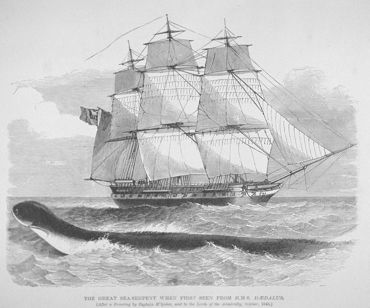 La gran serpiente marina vista por primera vez desde el HMS Daedalus en 1848, c.1848 (grabado) de English School