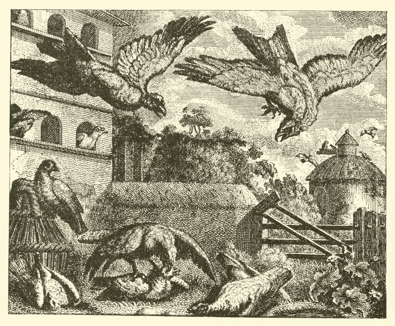 La cometa y las palomas (grabado) de English School