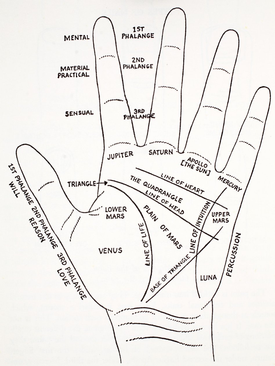 El monte aras de la mano de English School