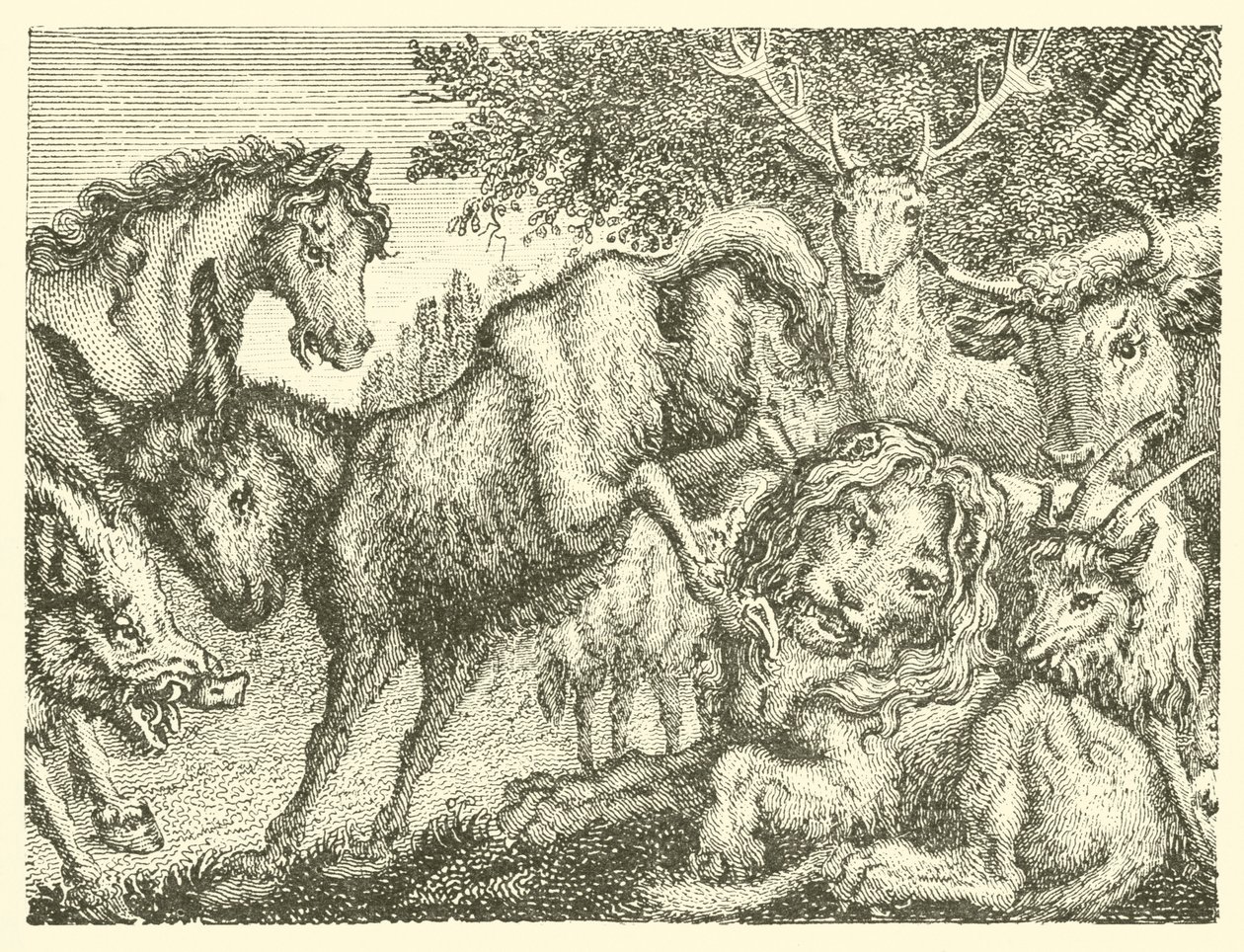 El viejo león (grabado) de English School