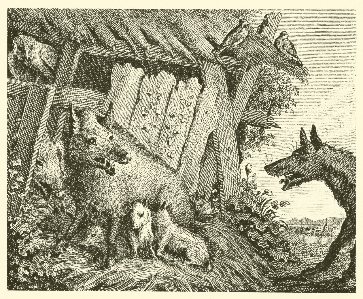 La cerda y el lobo (grabado) de English School