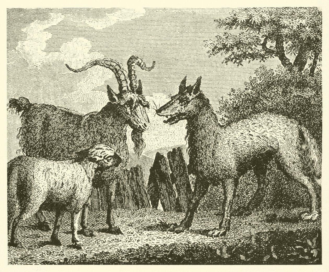 El lobo, el cordero y la cabra (grabado) de English School
