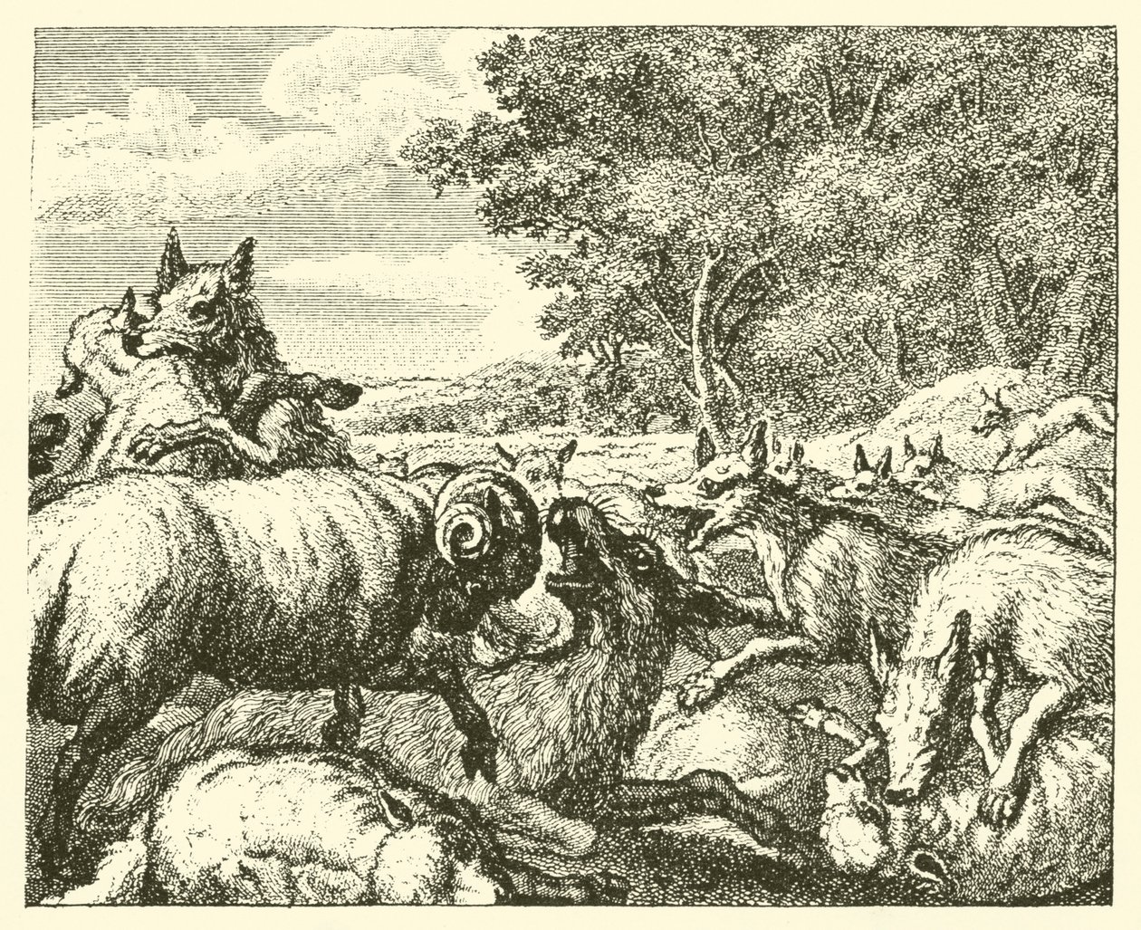Los lobos y las ovejas (grabado) de English School