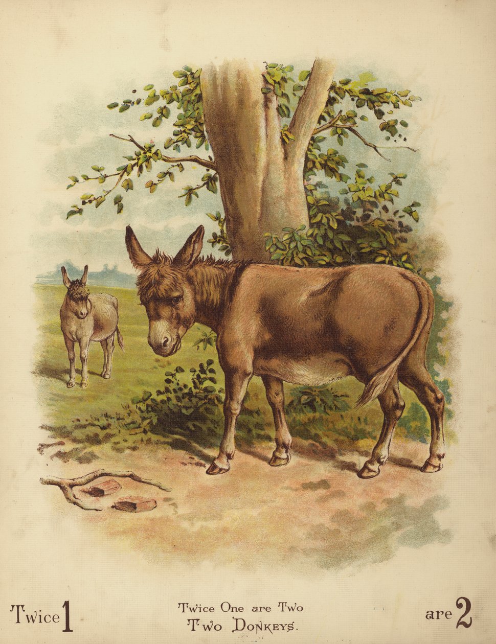 Dos burros (cromolito) de English School