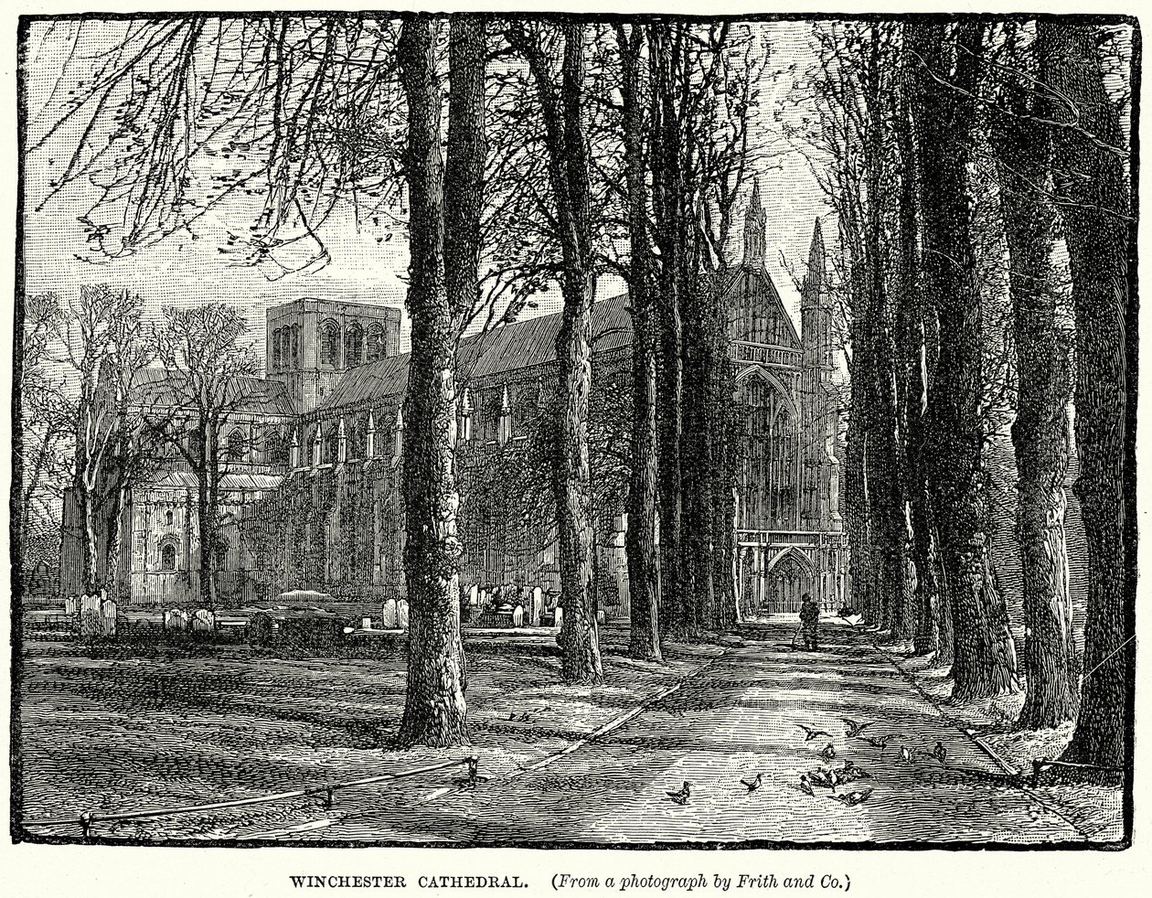 Catedral de Winchester (grabado) de English School