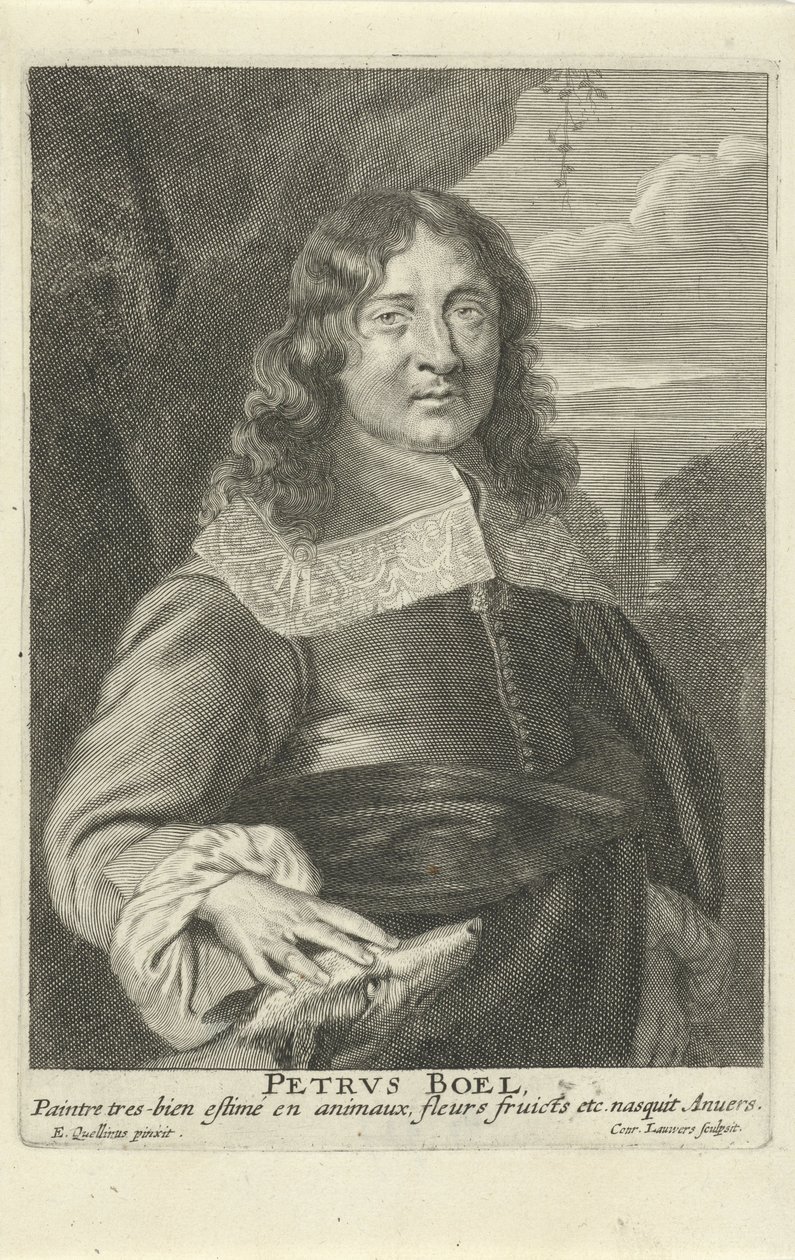 Peeter Boel, grabado por Conrad Lauwers, c.1649-62 de Erasmus (after) Quellinus