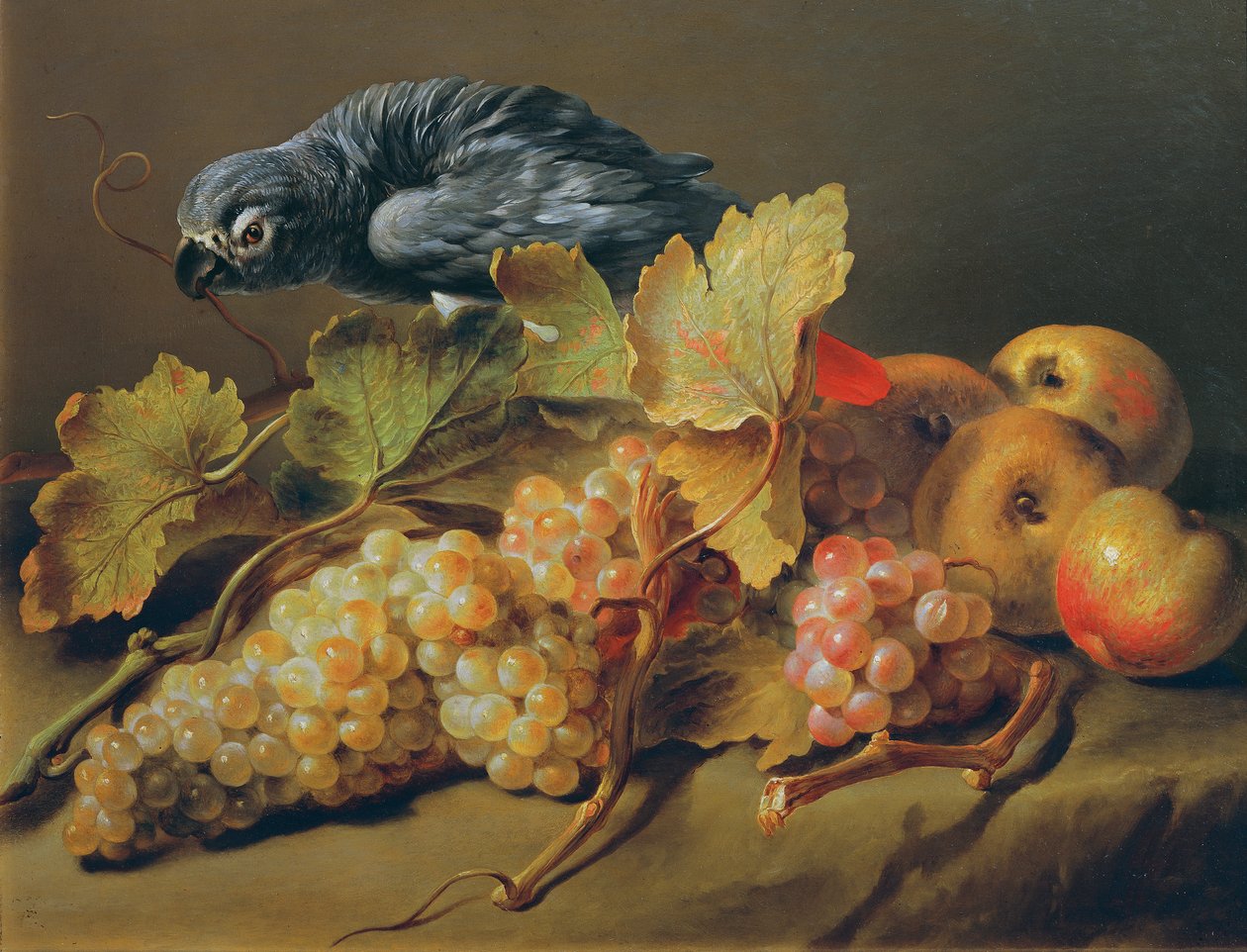 Naturaleza muerta con loro y uvas de Erasmus von Engert