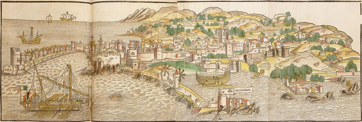 Vista panorámica de Rodas, 1486 de Erhard Reuwich