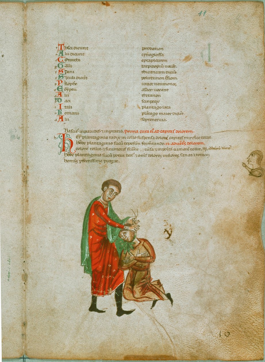 Un hombre se trata el dolor de cabeza con raíz de llantén de Erich Lessing