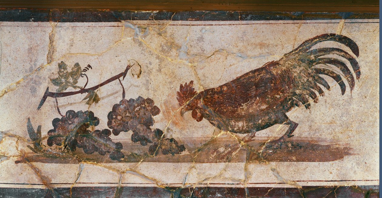 Gallo y uvas, Herculano, Italia (fresco) de Erich Lessing