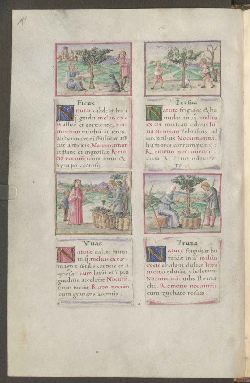 Página completa: texto y miniaturas (dibujo a pluma en marrón con acuarela) de Erich Lessing