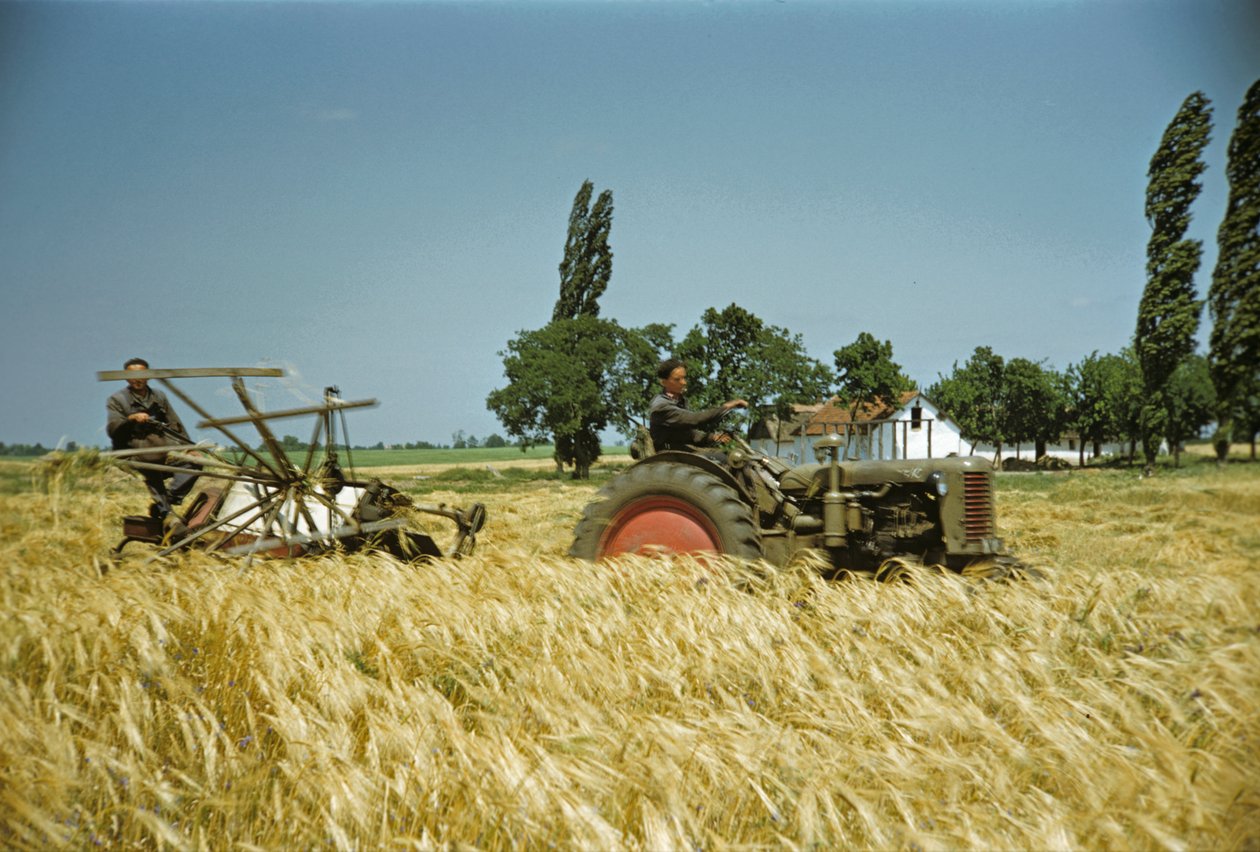  de Erich Lessing