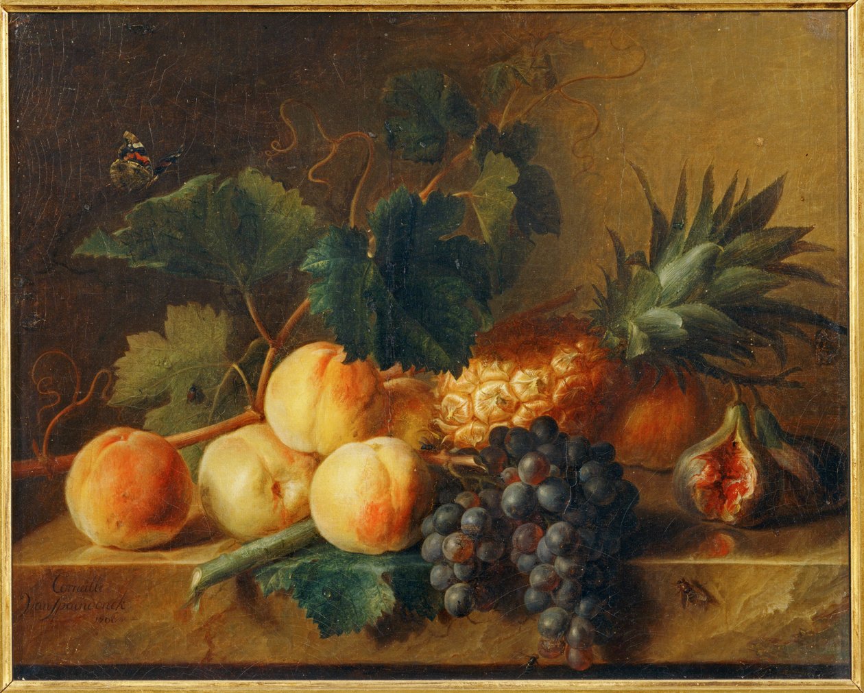 Bodegón con melocotones y piña ... de Erich Lessing