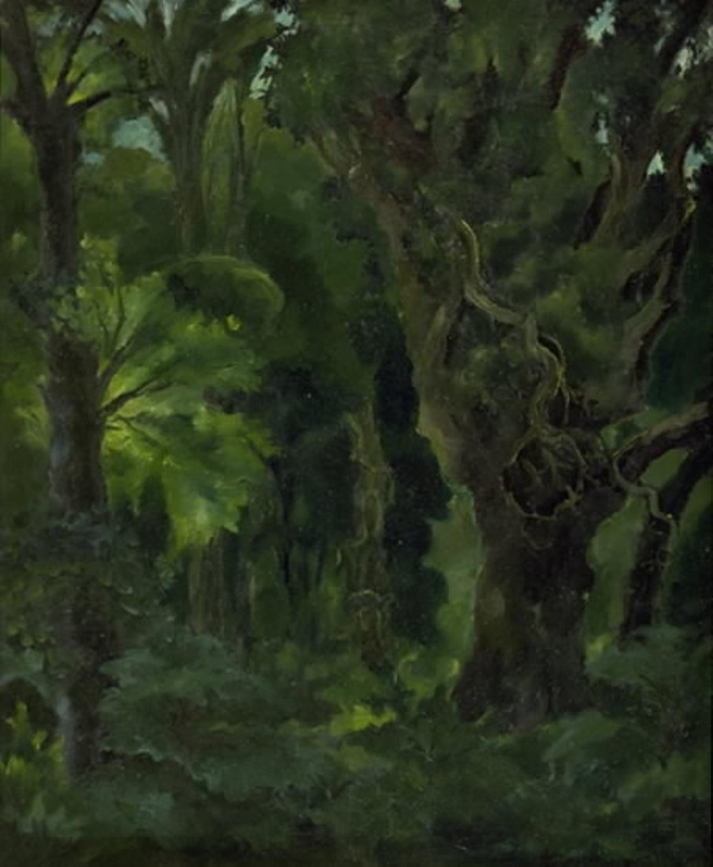Paisaje boscoso. "El bosque nórdico" de Erik Stæhr Nielsen