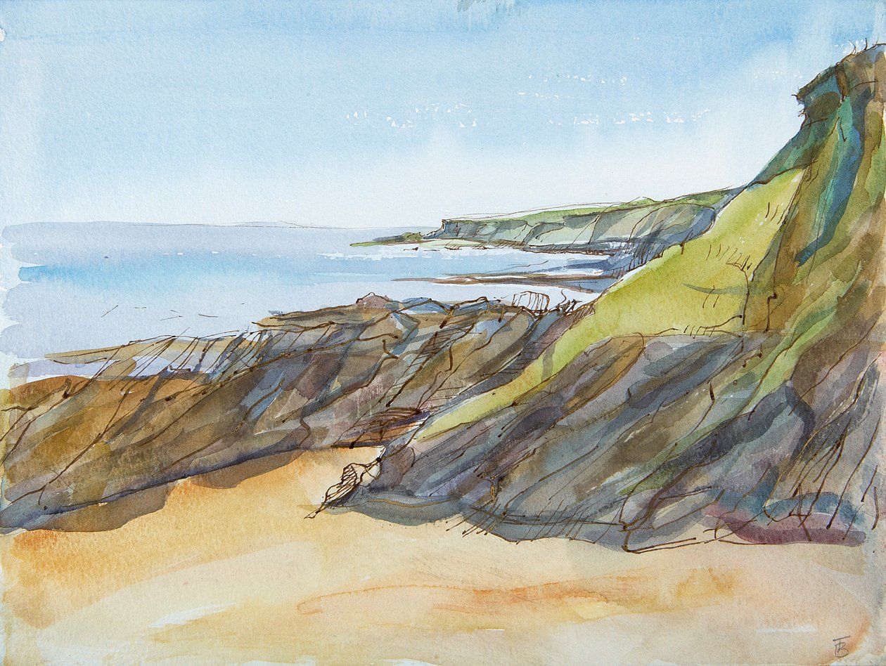 Playa rocosa en el Roseland de Erin Townsend