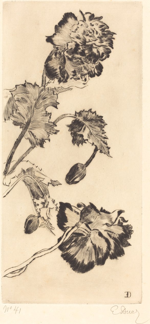 Flores (Fleurs) de Ernest Ange Duez