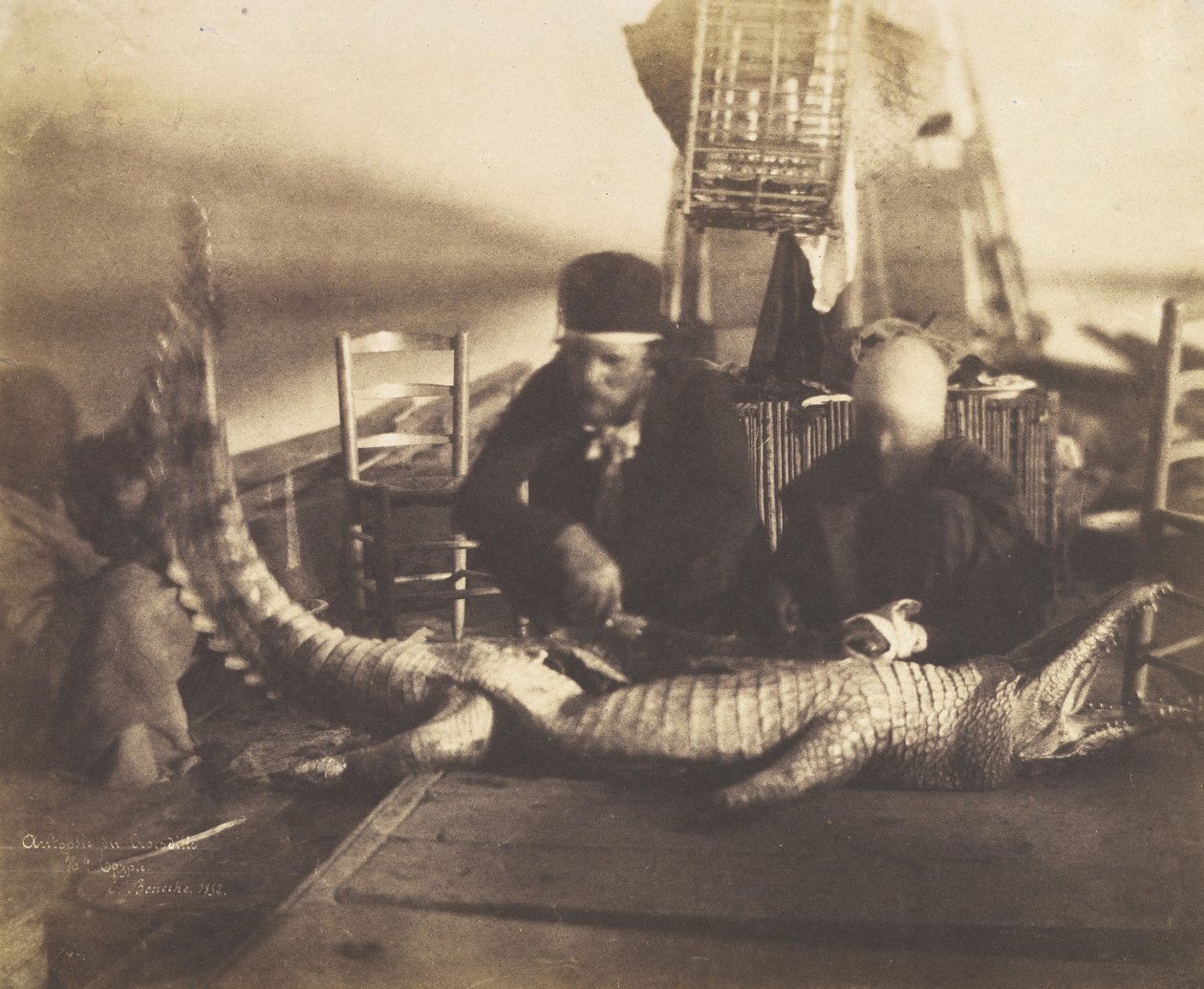 Autopsia del Primer Cocodrilo a Bordo, Alto Egipto, 1852 de Ernest Benecke