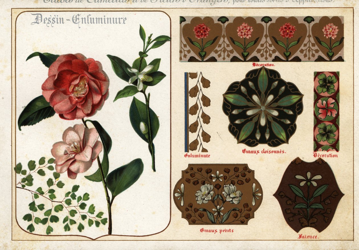 Imágenes de camelias y flores de azahar procedentes de manuscritos y de Ernest Guillot