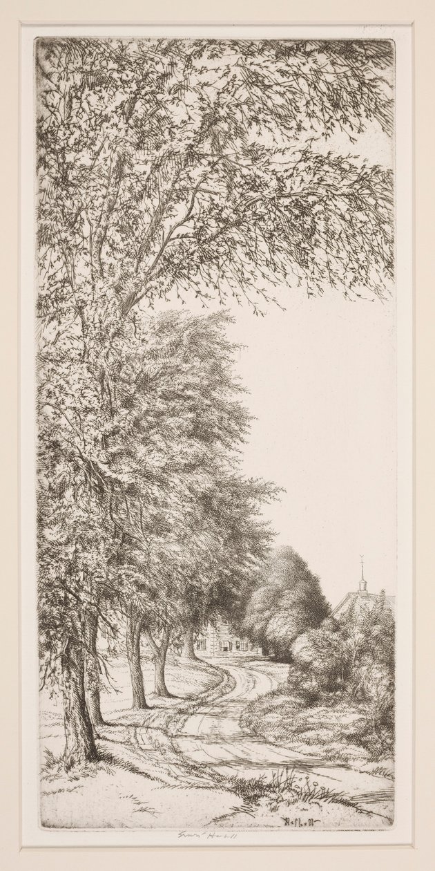 Camino rural de Ernest Haskell