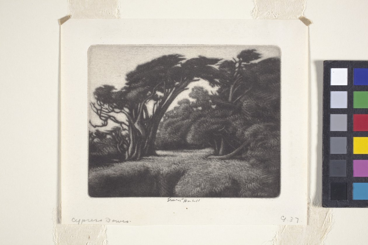 Enramada de cipreses (mezzotinta) de Ernest Haskell