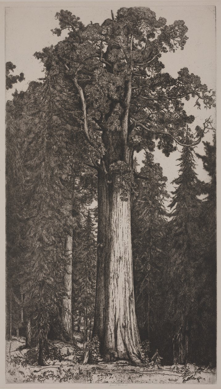 General Sherman de Ernest Haskell