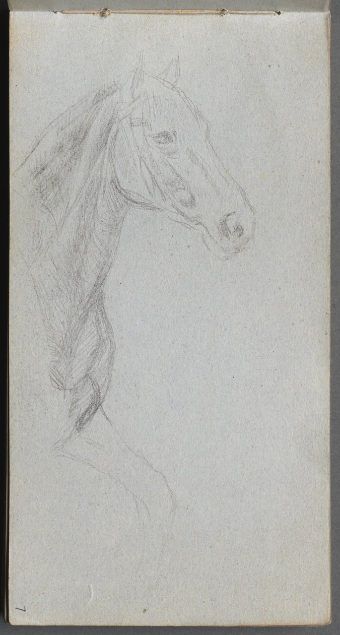 Cuaderno de bocetos, página 07: Estudio de un caballo de Jean Louis Ernest Meissonier