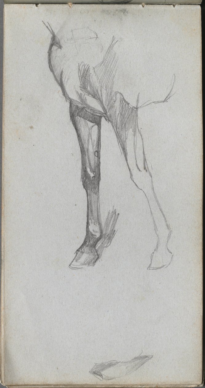 Sketchbook, page 66: Study of a Horse de Ernest Meissonier
