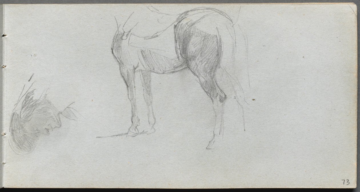 Sketchbook, page 73: Study of a Horse, profile de Ernest Meissonier