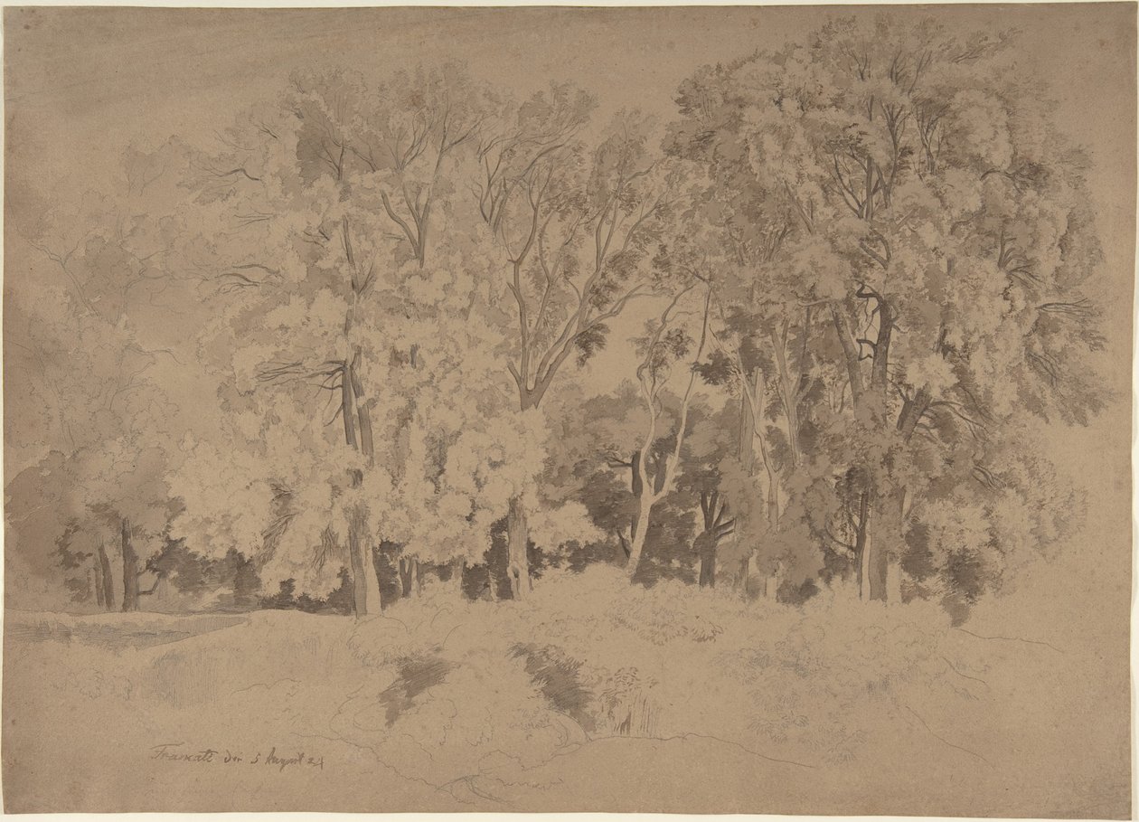 Linde de un bosque cerca de Frascati de Ernst Fries
