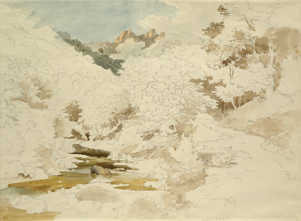 Bosque cerca de Massa de Ernst Fries