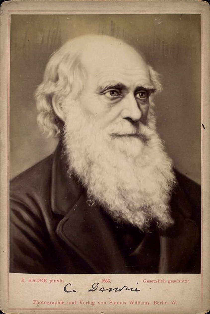 Charles Darwin, naturalista británico, c. 1860s-c. 1870s de Ernst Hader