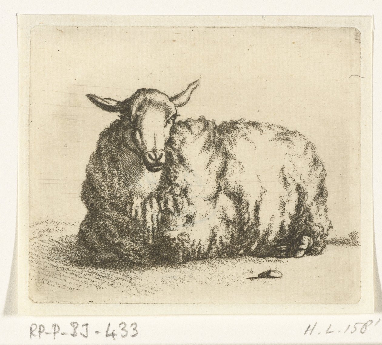Mentir ovejas desde el frente de Ernst Willem Jan Bagelaar