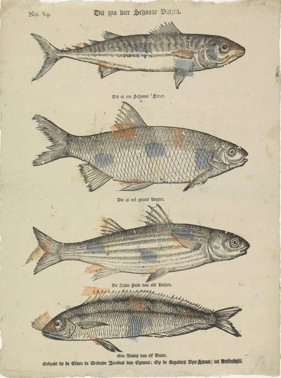 Estos son cuatro hermosos peces (título en el objeto) de Erven de Weduwe Jacobus van Egmont