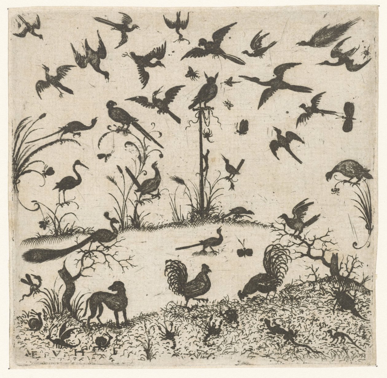 Aves Schweifwerk Ornaments for Silversmiths (título de la serie) de Esaias van Hulsen