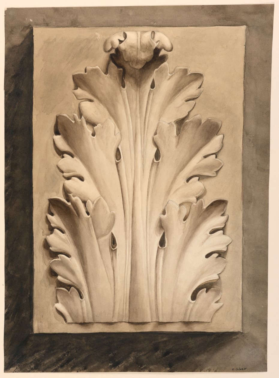 Dibujo, hoja de acanto: de un molde de Esther Silver