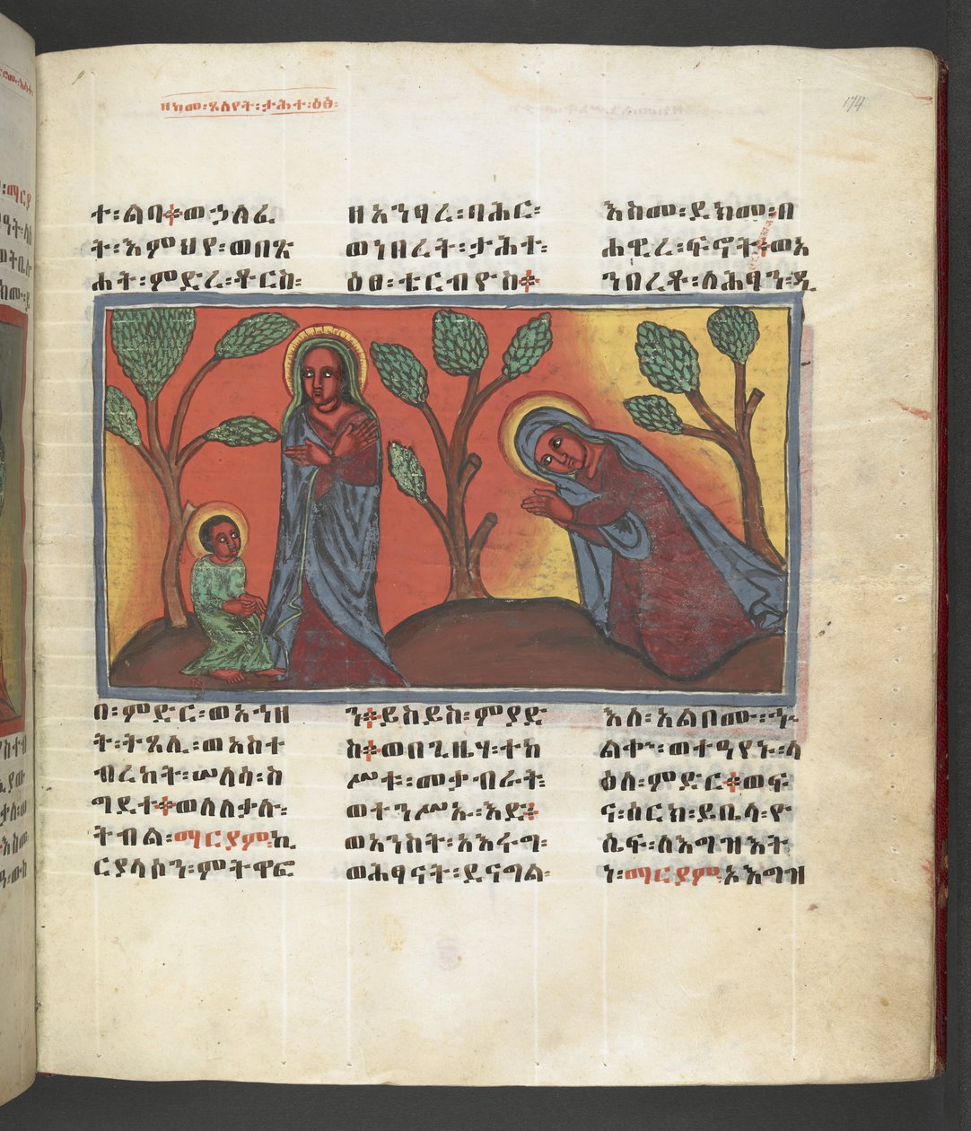 O. 607 f174r, Escena de la vida de la Virgen María, de 