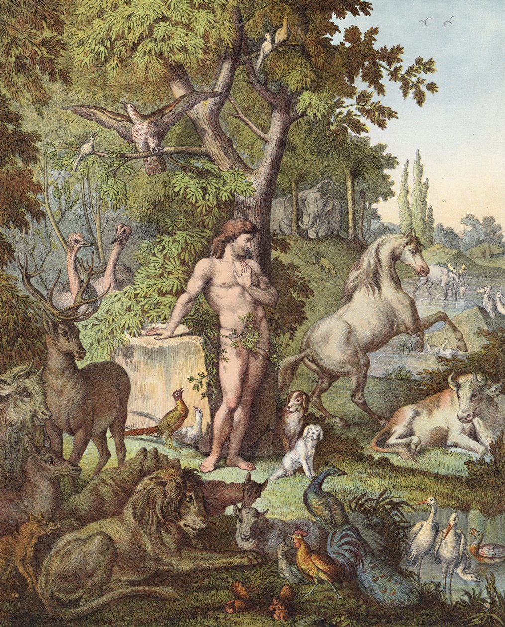 Adán en el Jardín del Edén (litografía en color) de Etienne Antoine Eugene Ronjat