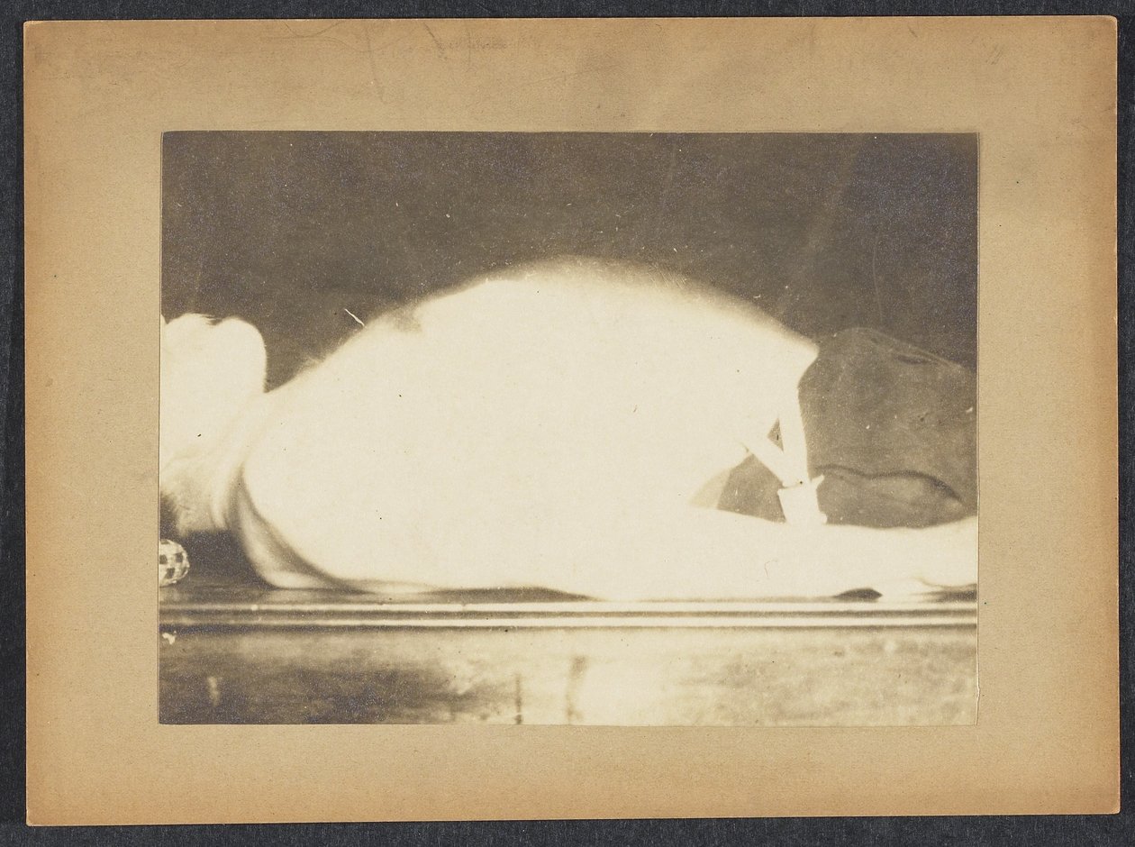 Marey en un Estudio de la Respiración de Etienne Jules Marey