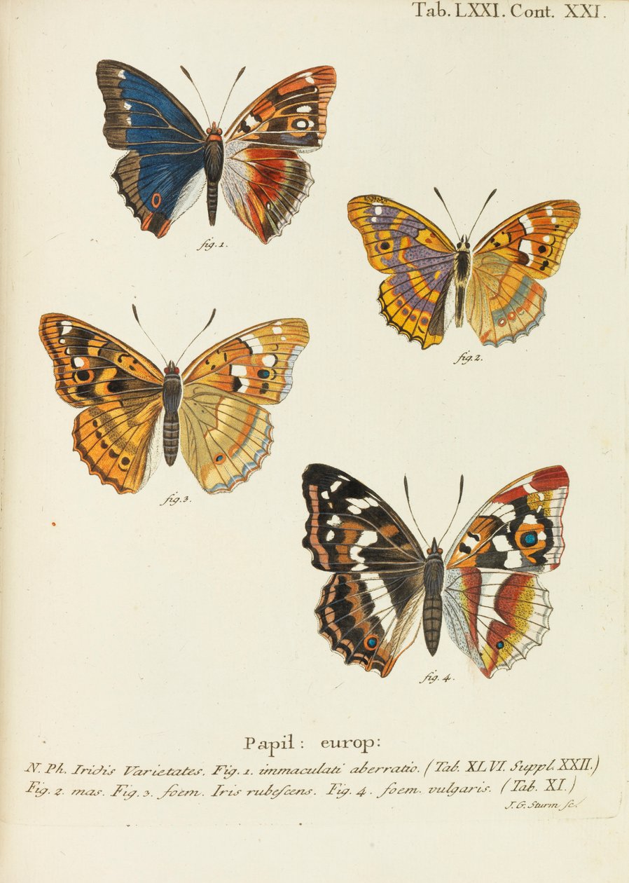 Die Schmetterlinge de Eugen Johann Christoph Esper