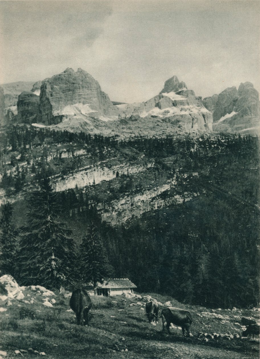 Vista del Grupo Brenta con pasto alpino, Madonna di Campiglio, Dolomitas, Italia, 1927 de Eugen Poppel