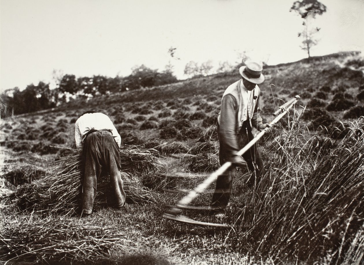 Faucheurs, Somme de Eugène Atget