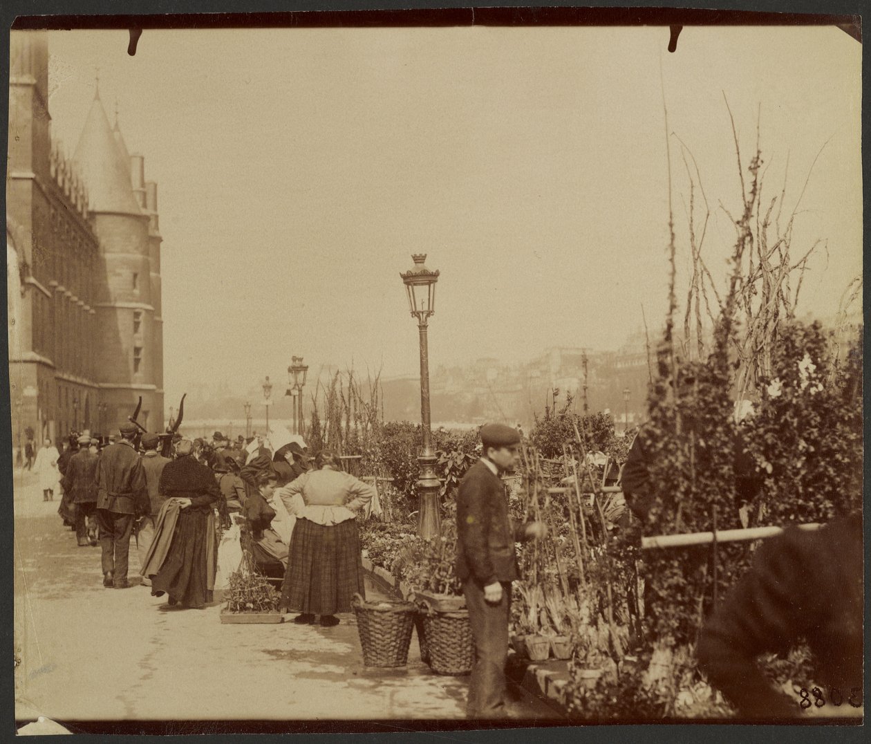 [El mercado de flores] de Eugène Atget