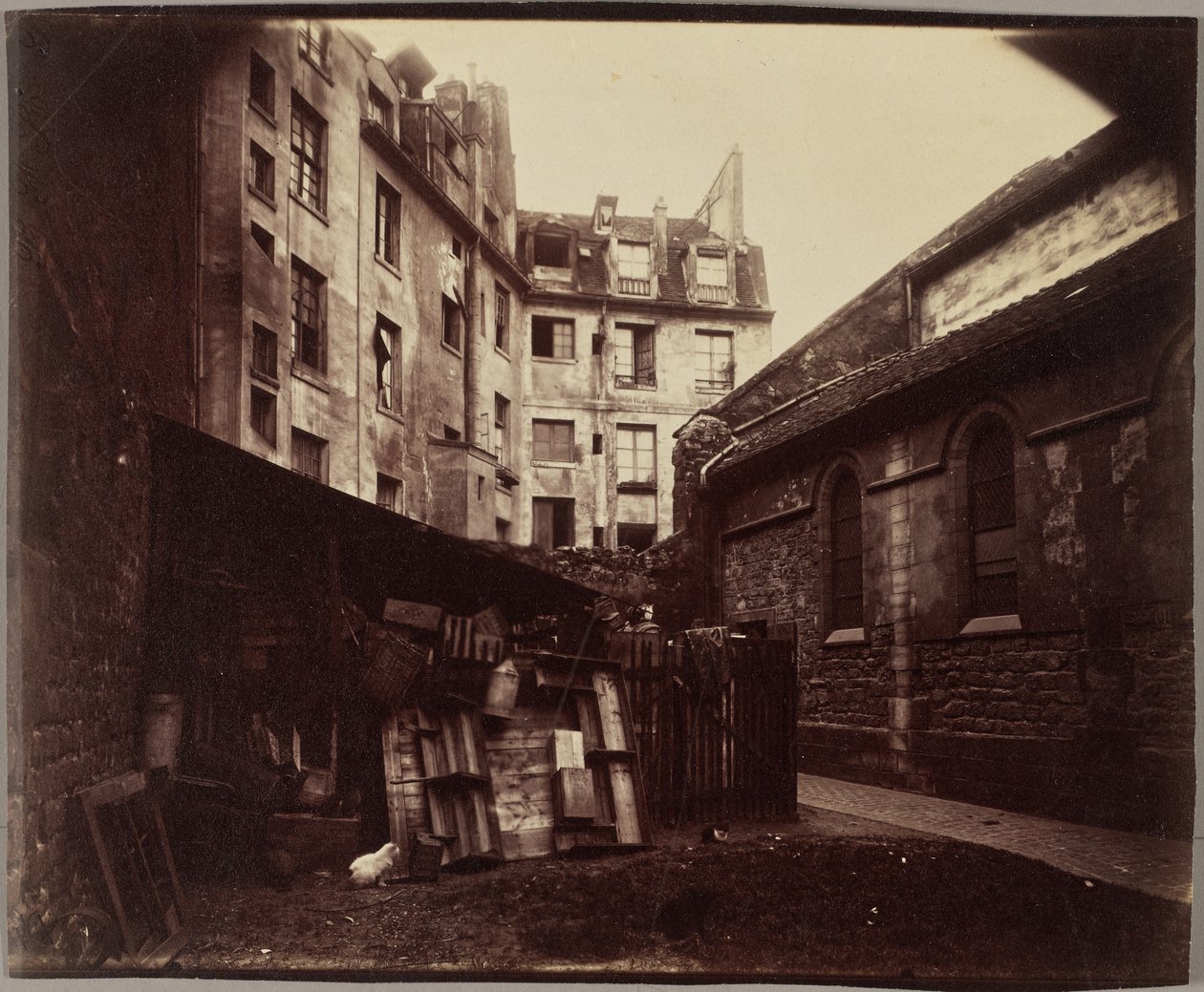 Un rincón del patio, Saint-Julien-le-Pauvre, París de Eugène Atget