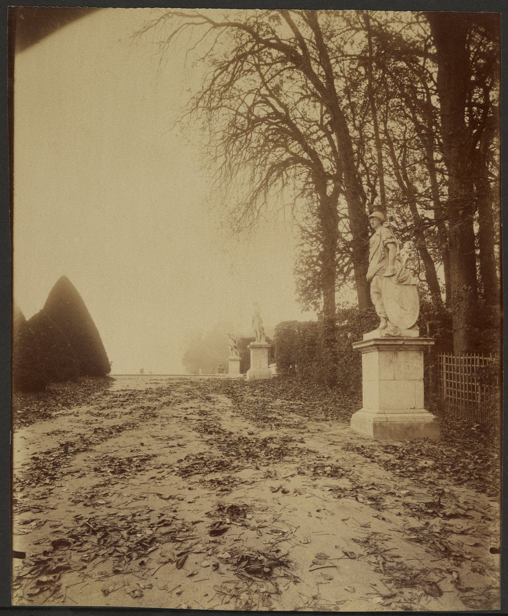 Versalles, el parque (avenida en el parque de Versalles) de Eugène Atget