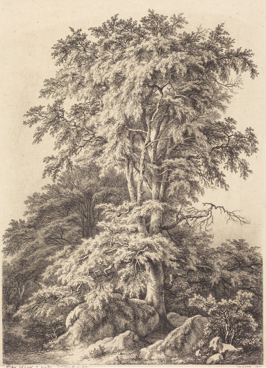Arboleda de hayas de Eugene Bléry
