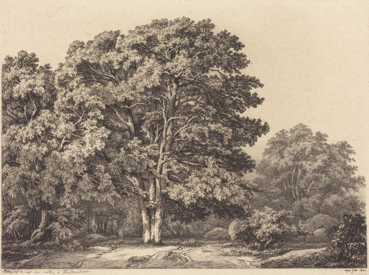Entrada a un bosque de Eugene Bléry