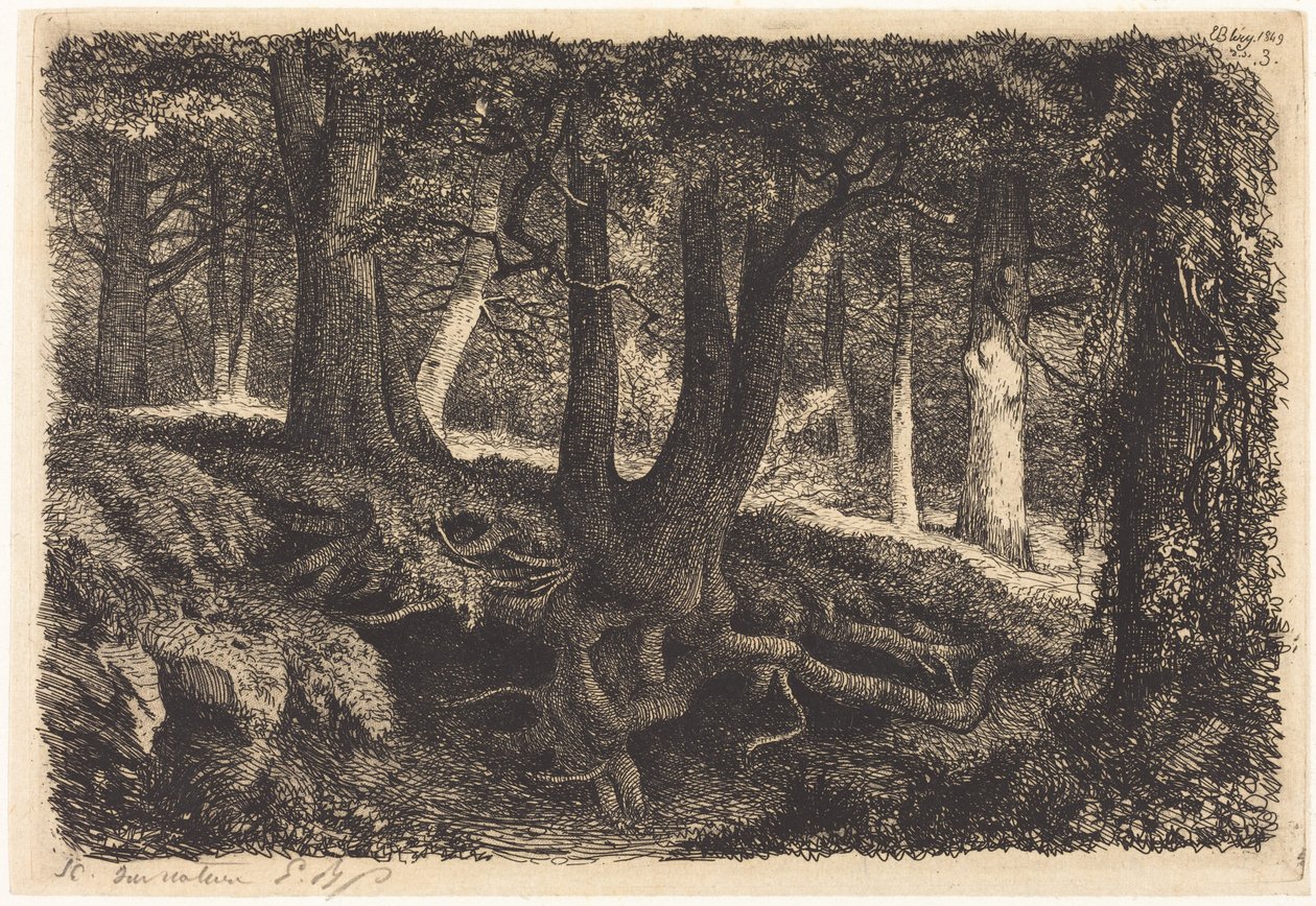 El árbol con raíces (Tree with Roots) de Eugene Bléry