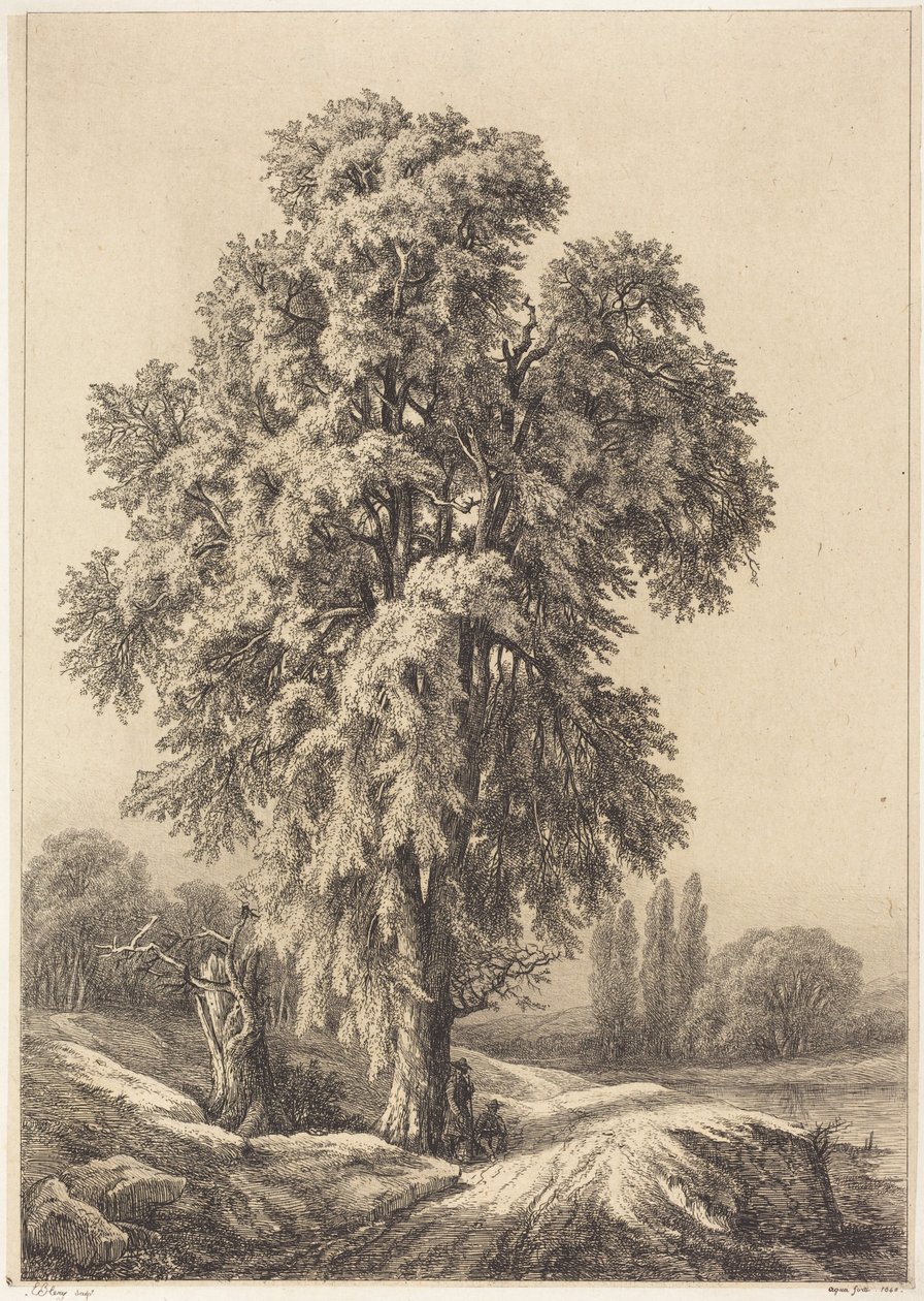 El olmo de Eugene Bléry