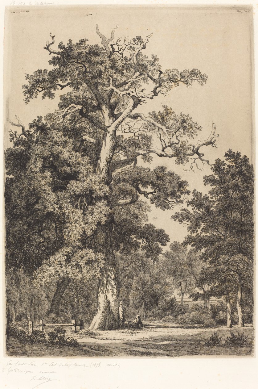 Roble antiguo en el Bois de Boulogne, 1855 de Eugene Bléry